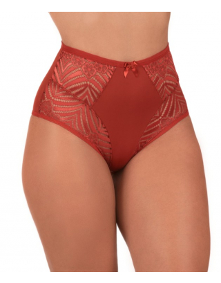 Microfiber high-waisted panties